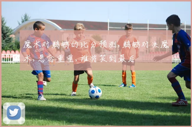 魔术对鹈鹕的比分预测,鹈鹕对决魔术,悬念重重,谁将笑到最后