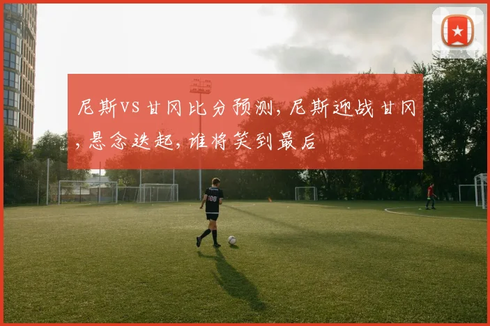 尼斯vs甘冈比分预测,尼斯迎战甘冈,悬念迭起,谁将笑到最后